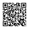 To view this 2020 Kia Forte Rapid City SD from Team Auto Sales | Rapid City | Box Elder | Piedmont | Black Hills | Summerset, please scan this QR code with your smartphone or tablet to view the mobile version of this page.