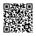 To view this 2013 Hyundai Accent Rapid City SD from Team Auto Sales | Rapid City | Box Elder | Piedmont | Black Hills | Summerset, please scan this QR code with your smartphone or tablet to view the mobile version of this page.