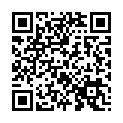 To view this 2004 Honda Civic Rapid City SD from Team Auto Sales | Rapid City | Box Elder | Piedmont | Black Hills | Summerset, please scan this QR code with your smartphone or tablet to view the mobile version of this page.
