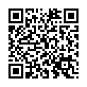 To view this 2010 Dodge Charger Rapid City SD from Team Auto Sales | Rapid City | Box Elder | Piedmont | Black Hills | Summerset, please scan this QR code with your smartphone or tablet to view the mobile version of this page.