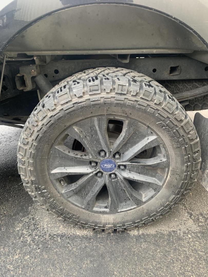 2014 black Ford F-150 XL SuperCrew 5.5-ft. Bed 4WD (1FTFW1EFXEK) with an 5.0L V8 engine, 6-Speed Automatic transmission, located at 2015 Cambell Street, Rapid City, SD, 57701, (605) 342-8326, 44.066433, -103.191772 - Photo#4